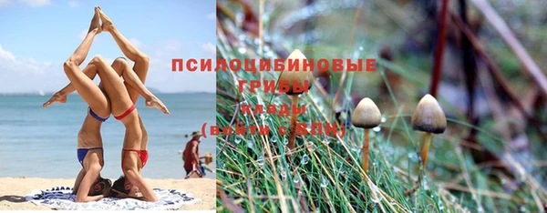 ALPHA-PVP Арсеньев