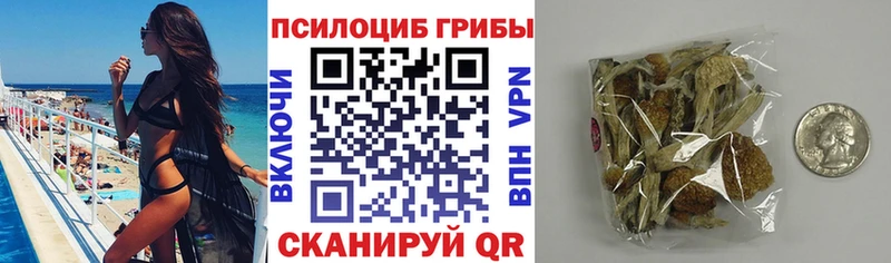 мега ссылка  Кубинка  Галлюциногенные грибы GOLDEN TEACHER 